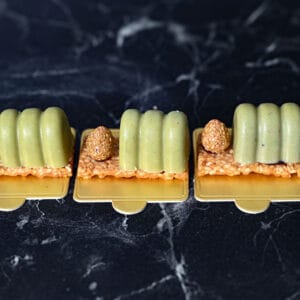 פטיפור פיסטוק