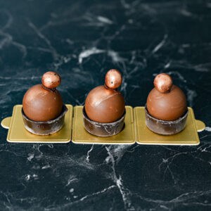 פטיפור פררו רושה