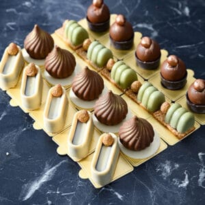 פלטת פטיפורים